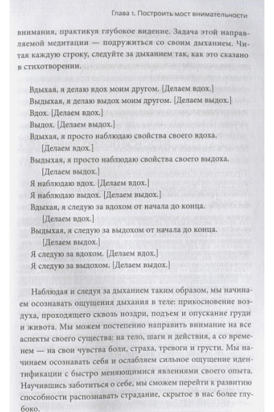 Данг Нгием: Цветы в темноте. Практики, которые помогут исцелиться от травмы и найти опору в себе