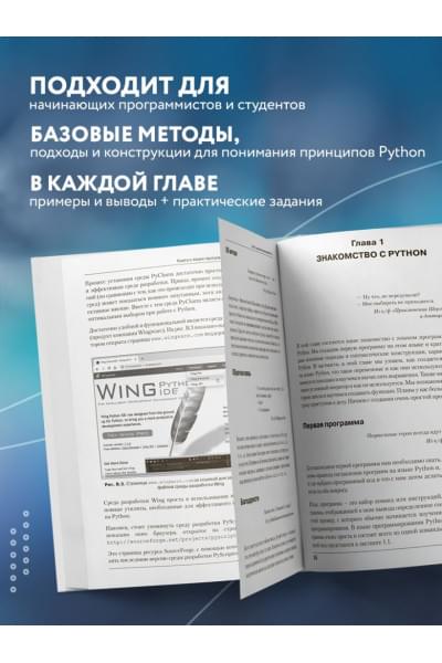 Алексей Васильев: Программирование на Python в примерах и задачах