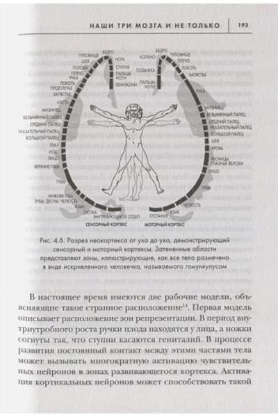 Диспенза Джо: Развивай свой мозг. Как перенастроить разум и реализовать собственный потенциал (ЯРКАЯ ОБЛОЖКА)