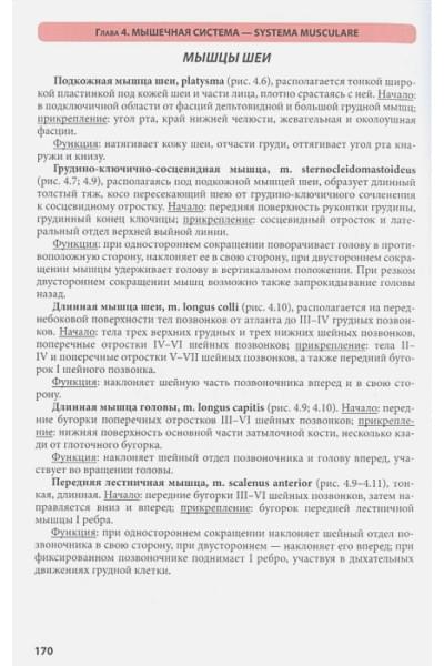 Самусев Рудольф Павлович: Атлас анатомии человека. Учебное пособие для студентов высших медицинских учебных заведений.9-е издание, переработанное и дополненное