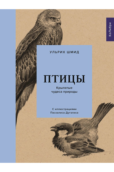 Птицы: Крылатые чудеса природы