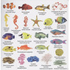 Гринвелл Д. (ред.): 1000 картинок. Подводный мир. Иллюстрированный словарь