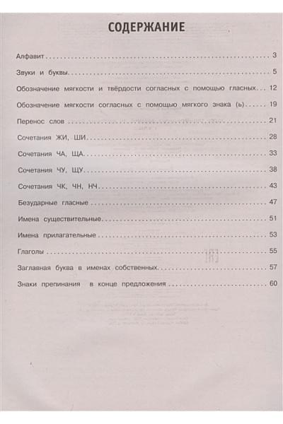 Королёв Владимир Иванович: 30000 тренировочных заданий по русскому языку. 1 класс