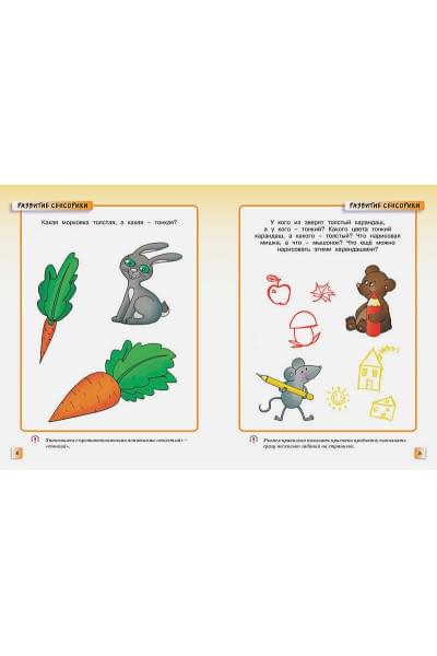 Развивающие тесты (2-3 года)