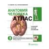Анатомия человека. Атлас в 3 томах. Том 3. Нервная система