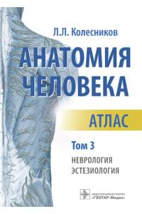 Анатомия человека. Атлас в 3-х томах. Том 3. Неврология, эстезиология