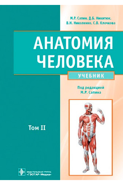 Анатомия человека. Учебник в 2 томах. Том II