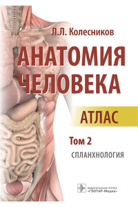 Анатомия человека. Атлас в 3 томах. Том 2. Спланхнология