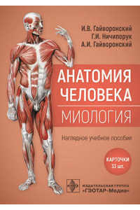 Анатомия человека. Миология. Комплект карточек. Наглядное учебное пособие