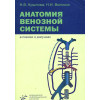Анатомия венозной системы в схемах и рисунках. Учебное пособие