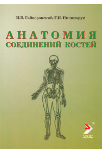 Анатомия соединений костей