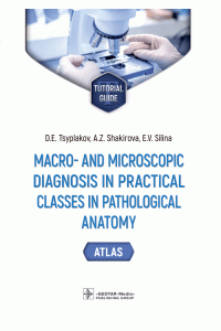 Macro- and microscopic diagnosis in practical classes in pathological anatomy. Atlas. Tutorial guide