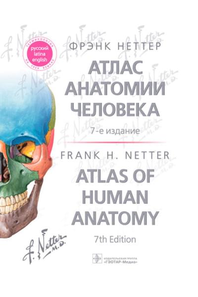 Атлас анатомии человека
