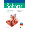 Sobotta. Атлас анатомии человека. В 3 томах. Том 1. Общая анатомия и костно-мышечная система